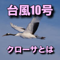 クローサ 台風10号 とは 意味と由来はカンボジアの鶴 画像で確認 知りたいchannel